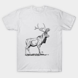 The Majestic Deer T-Shirt